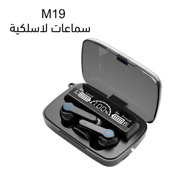 EARBUDS M19