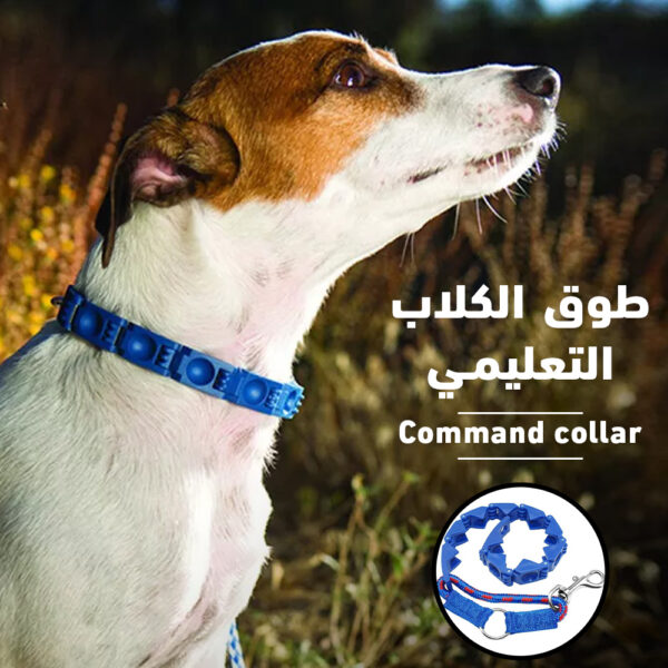 طوق الكلاب التعليمي Command collar